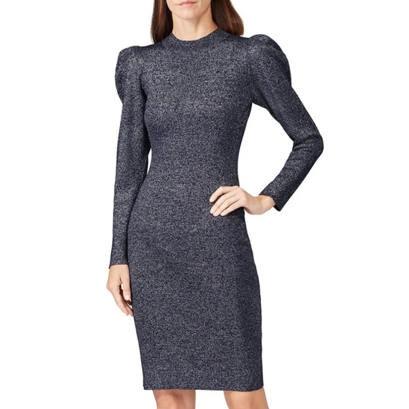 SACHIN & BABI Metallic Blue Long Sleeve Knee Length Occassion Dress Womens Small - Picture 1 of 12